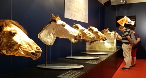 Độc đáo bảo tàng tiêu bản người